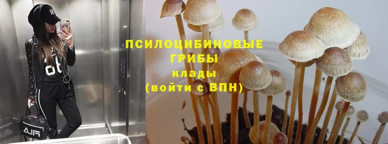 Псилоцибиновые грибы MAGIC MUSHROOMS  Лянтор 